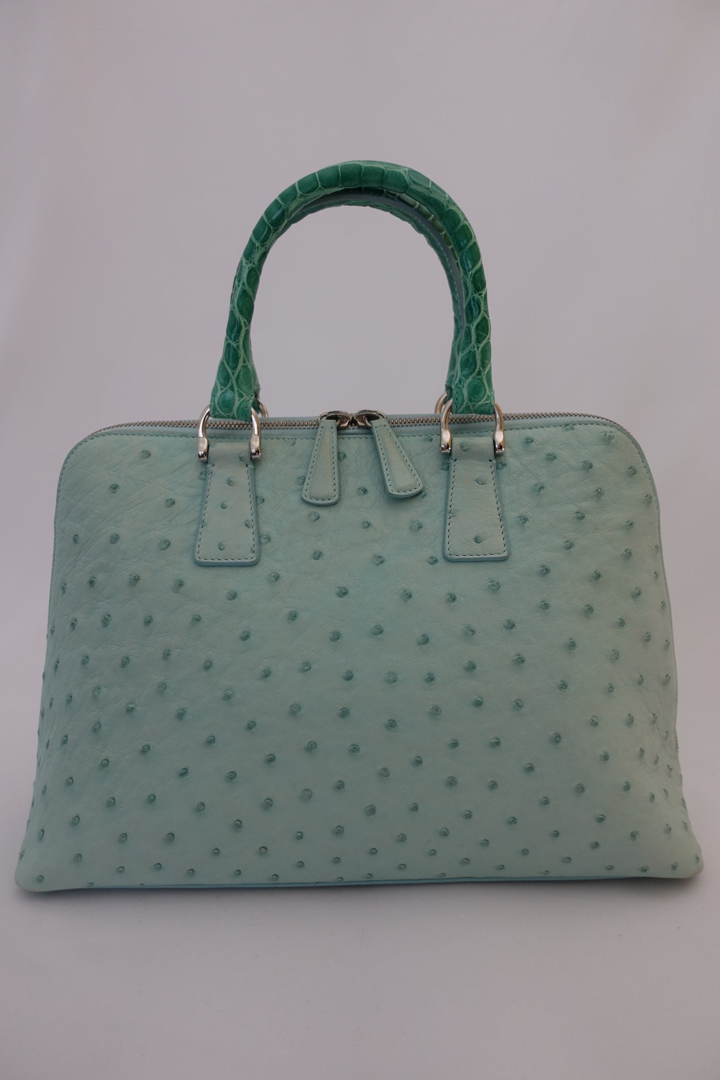 Green Ostrich Purse