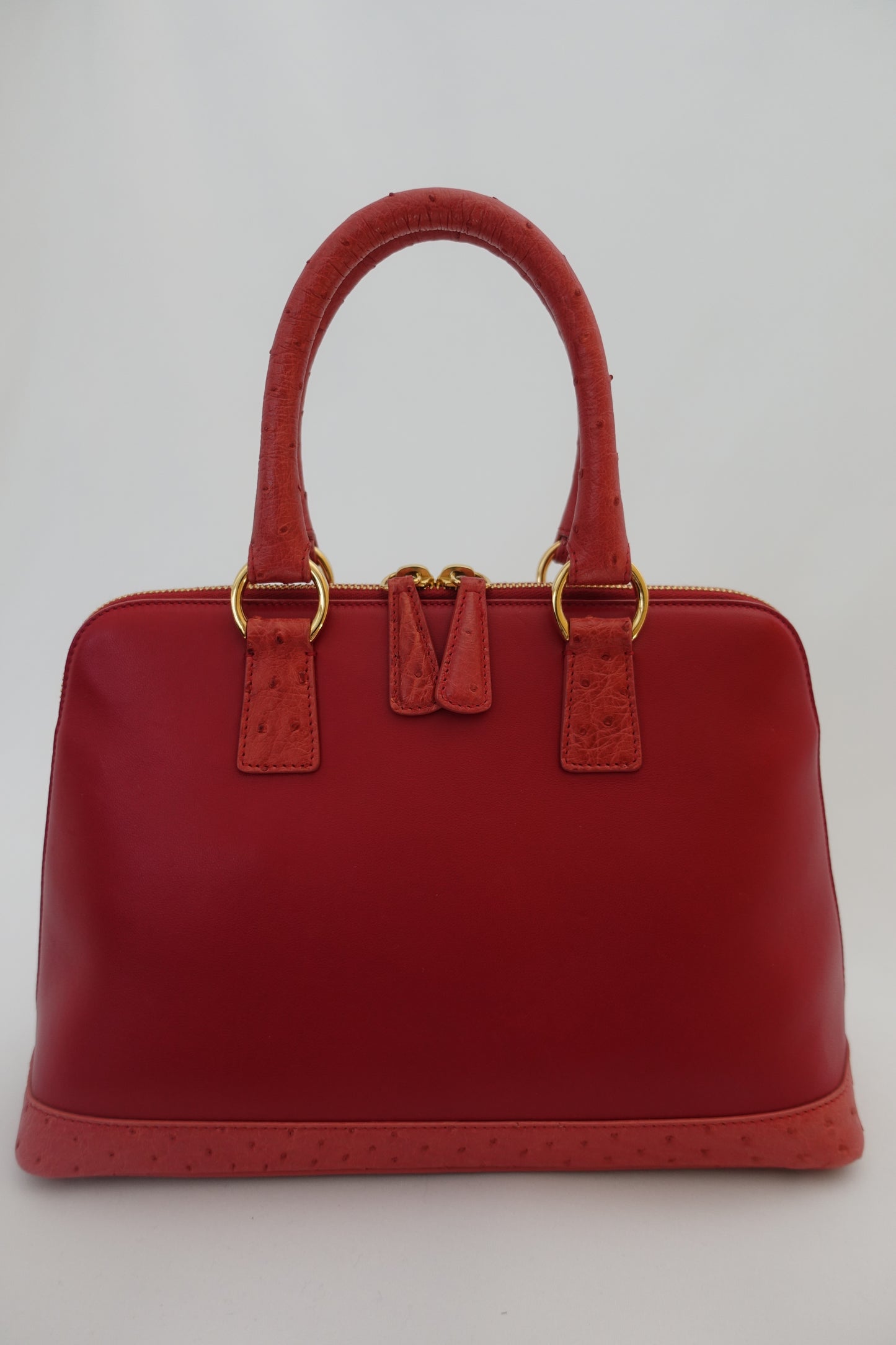 Red Leather and Ostrich Purse